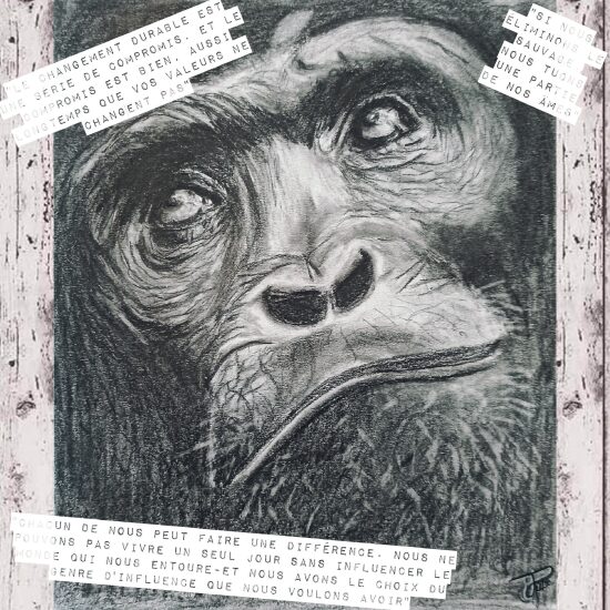 "Je pense donc je suis" (Descartes).jpg
